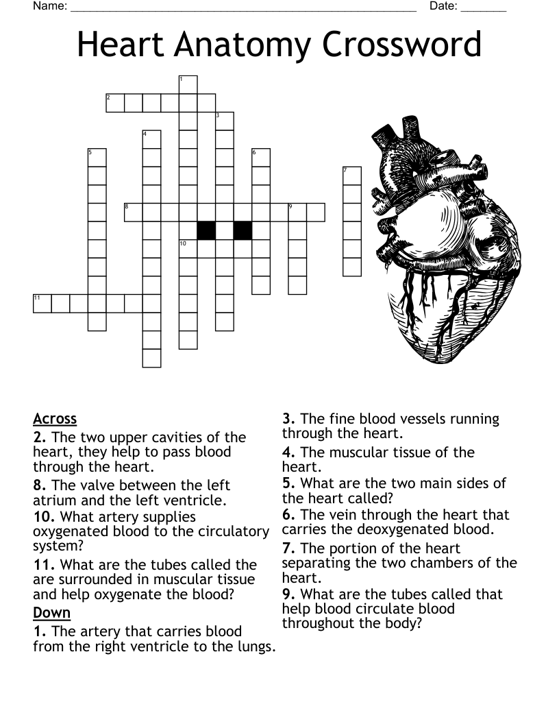 Free Printable Donna Stone Crossword Free Printable Donna Stone Crossword