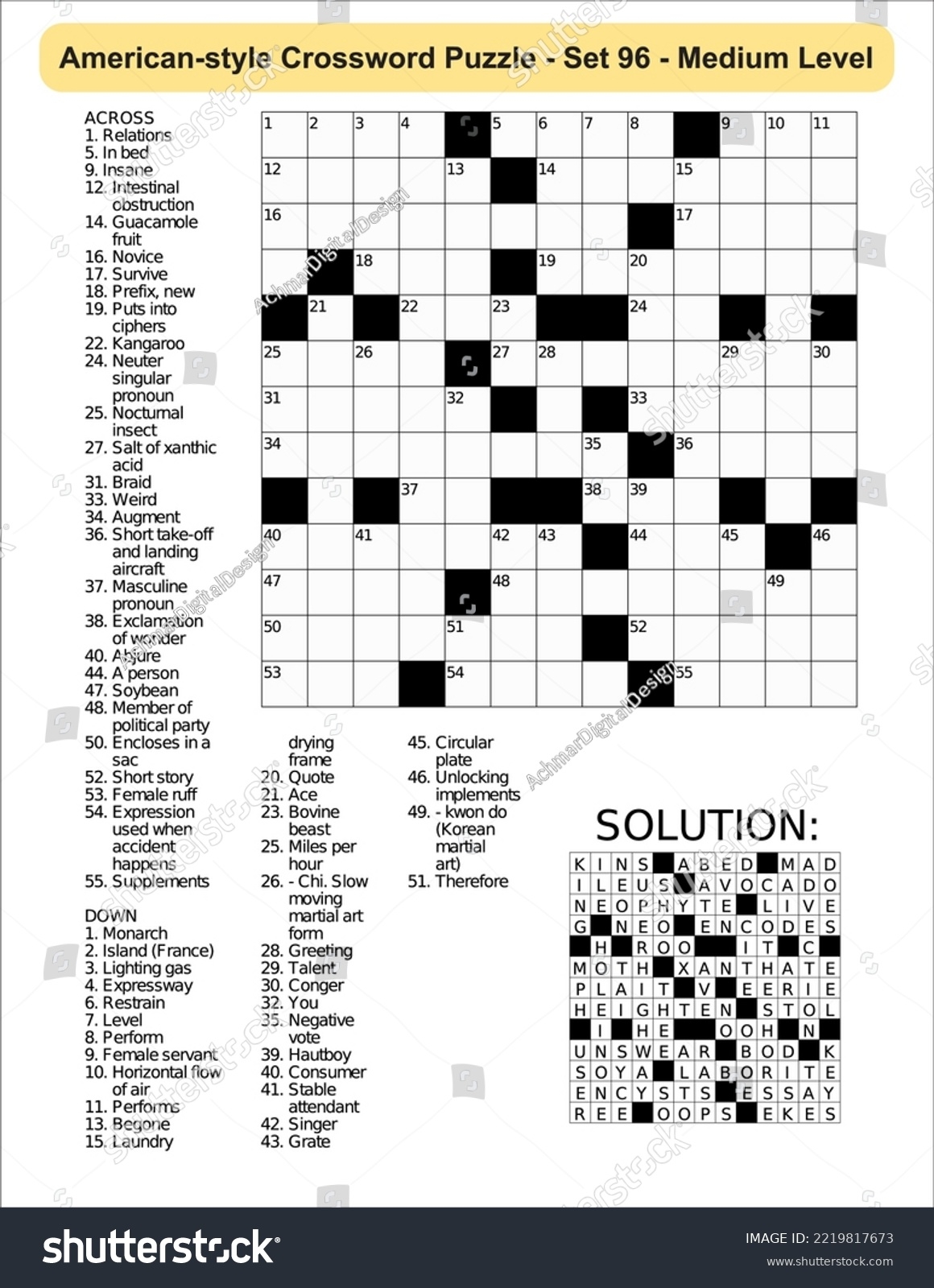 American style Crossword Puzzle Game 13 X Stock Vector Royalty Free 2219817673 Shutterstock