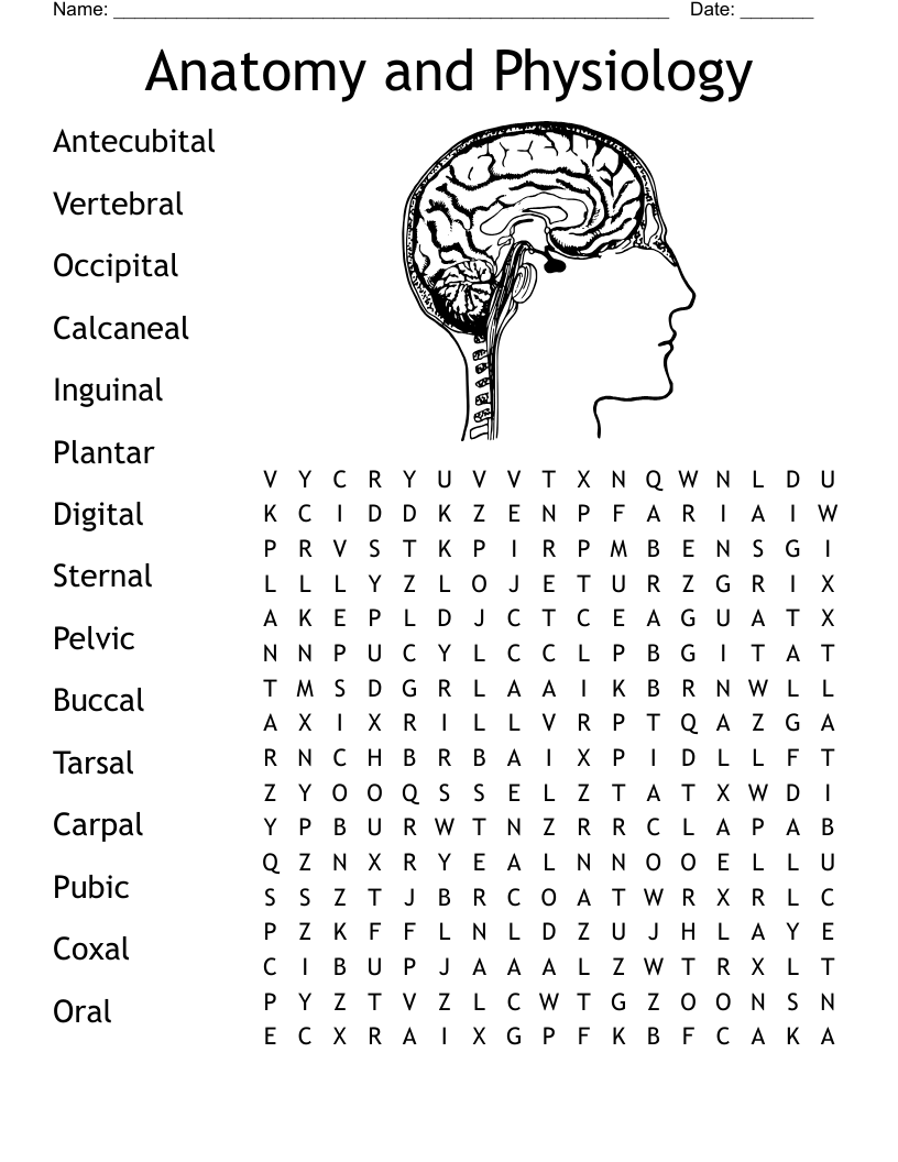 Difficult Anatomy Crossword Puzzle Printable Difficult Anatomy Crossword Puzzle Printable