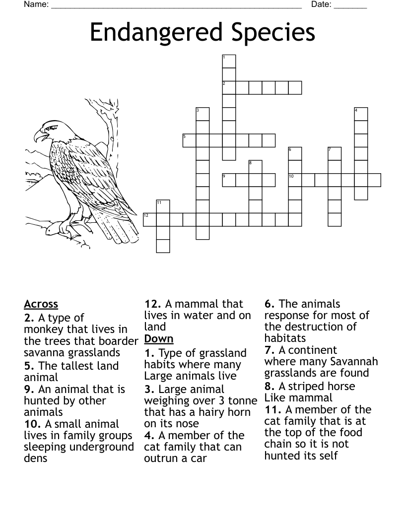 Animals Crossword WordMint Animals Crossword WordMint