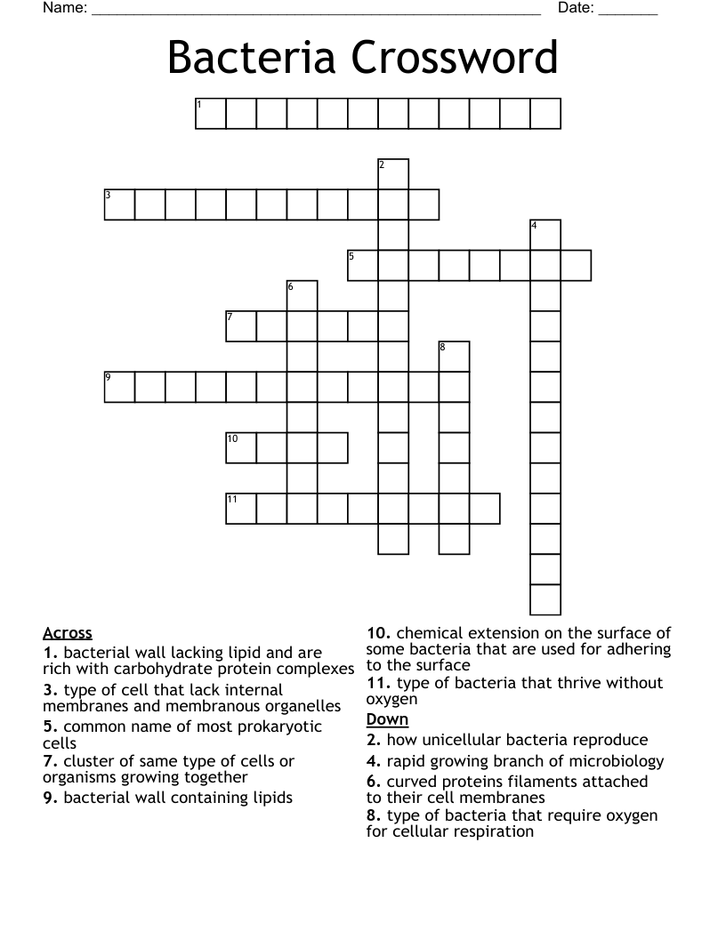 Bacteria Crossword WordMint Bacteria Crossword WordMint