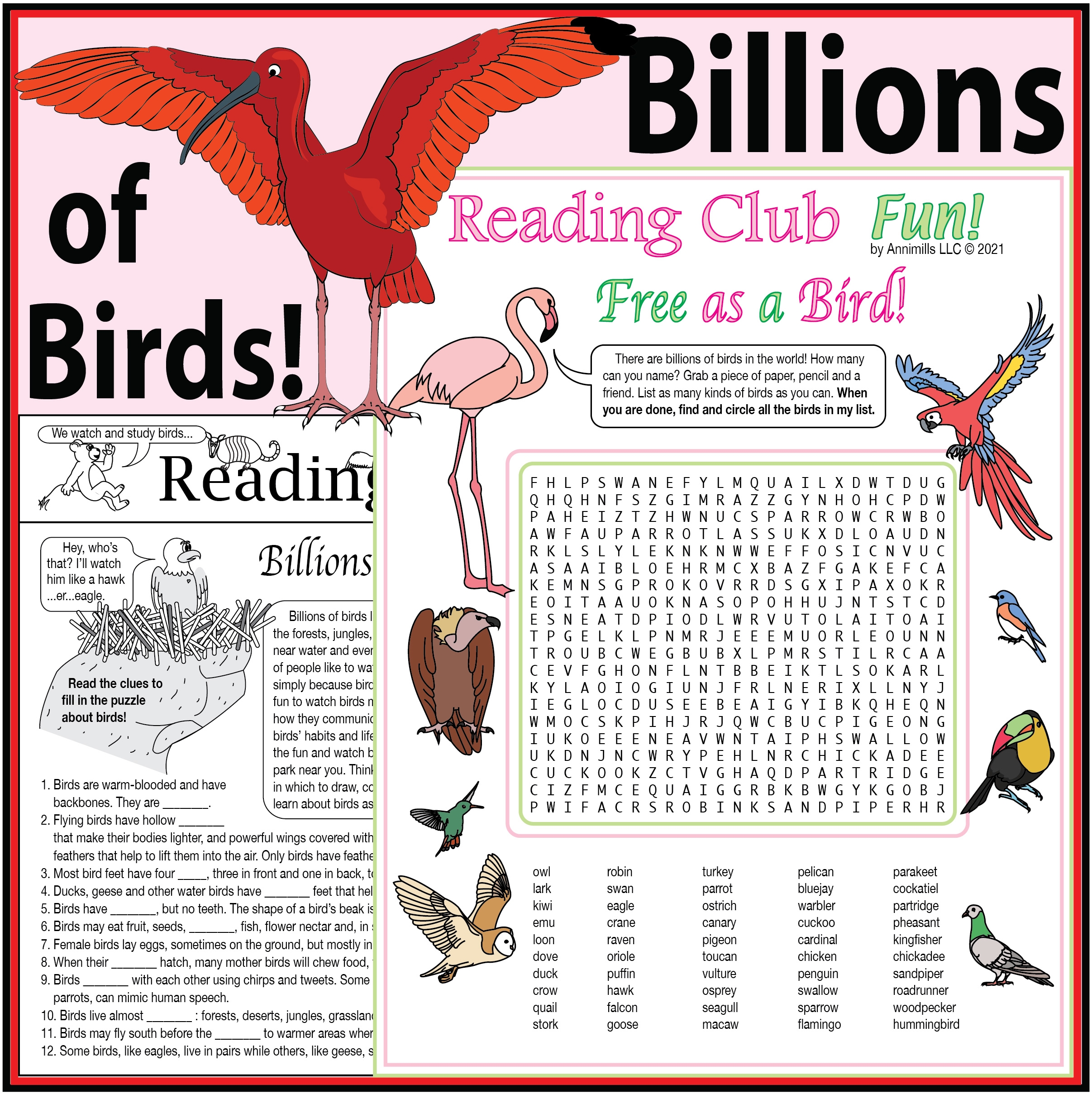 Billions Of Birds Printable Puzzles Activity Set Two Word Searches Made By Teachers