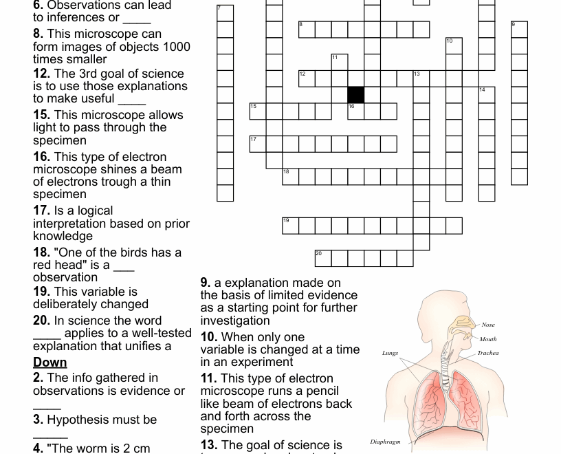 Biology Crossword Puzzle WordMint