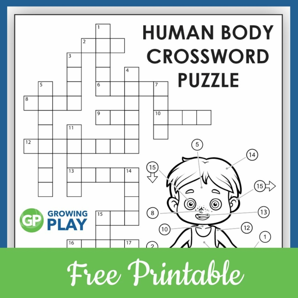 Body Crossword Puzzle Free PDF Growing Play Body Crossword Puzzle Free PDF Growing Play