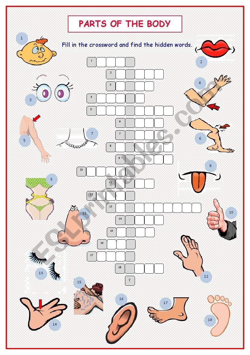 Crossword Puzzles Esl Printable Crossword Puzzles Esl Printable