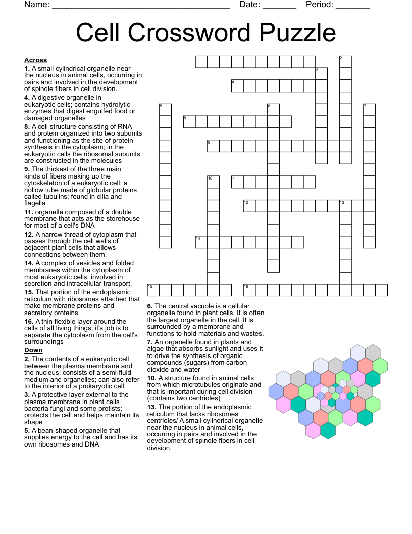 Cell Crossword Puzzle WordMint Cell Crossword Puzzle WordMint