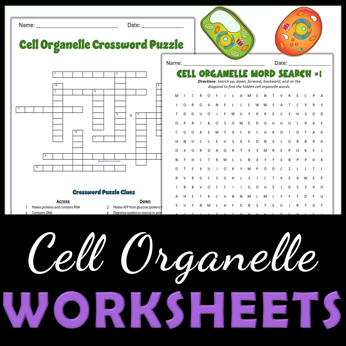 Cell Organelle Crossword And Word Search Classful Cell Organelle Crossword And Word Search Classful