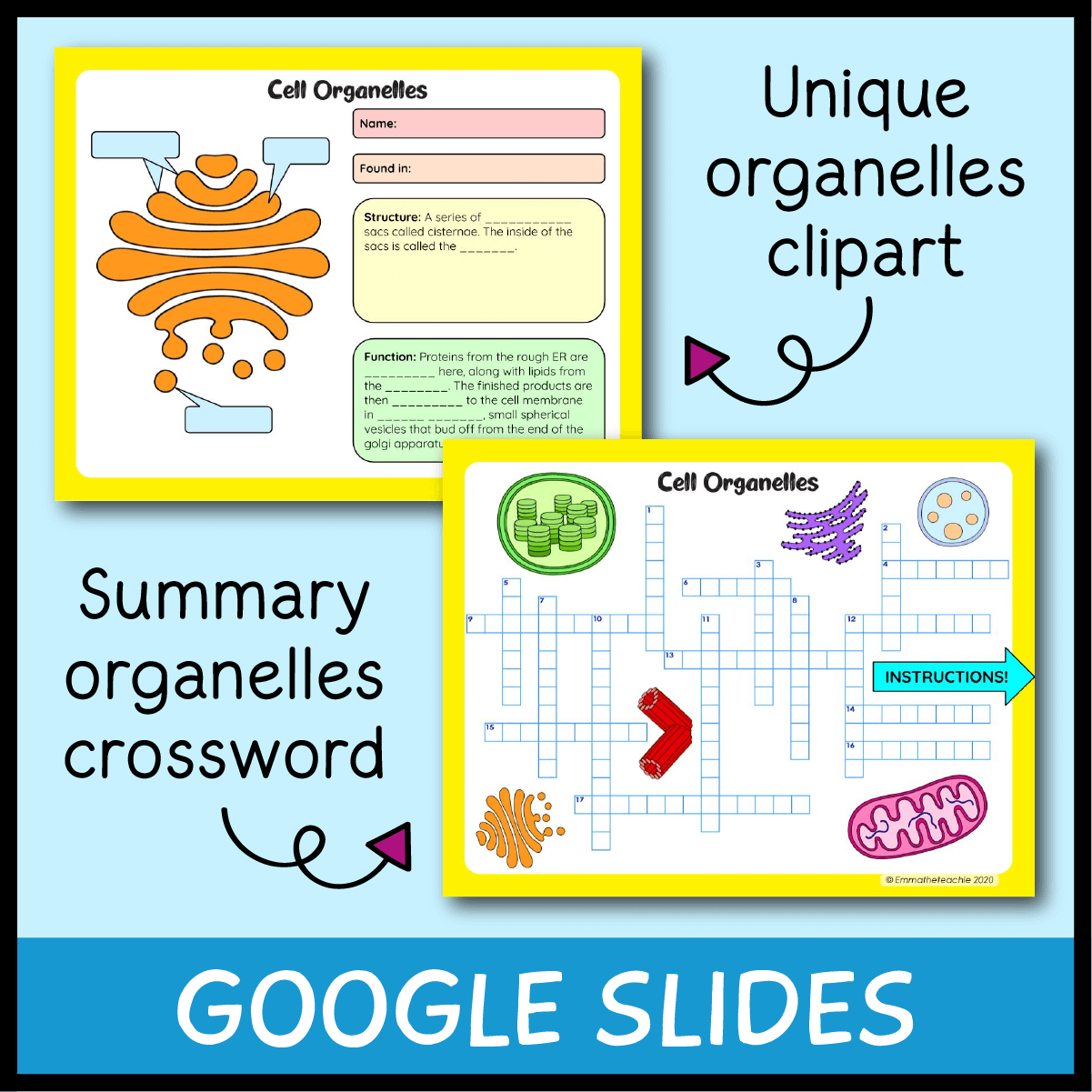 Cell Organelles Lesson Bundle Emmatheteachie Resources Cell Organelles Lesson Bundle Emmatheteachie Resources