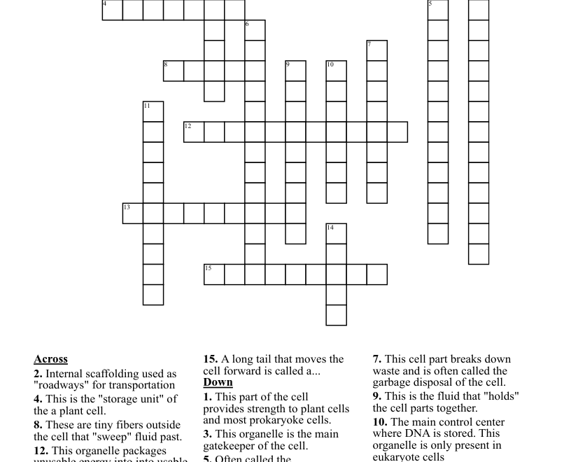 Cell Parts Crossword Puzzle WordMint