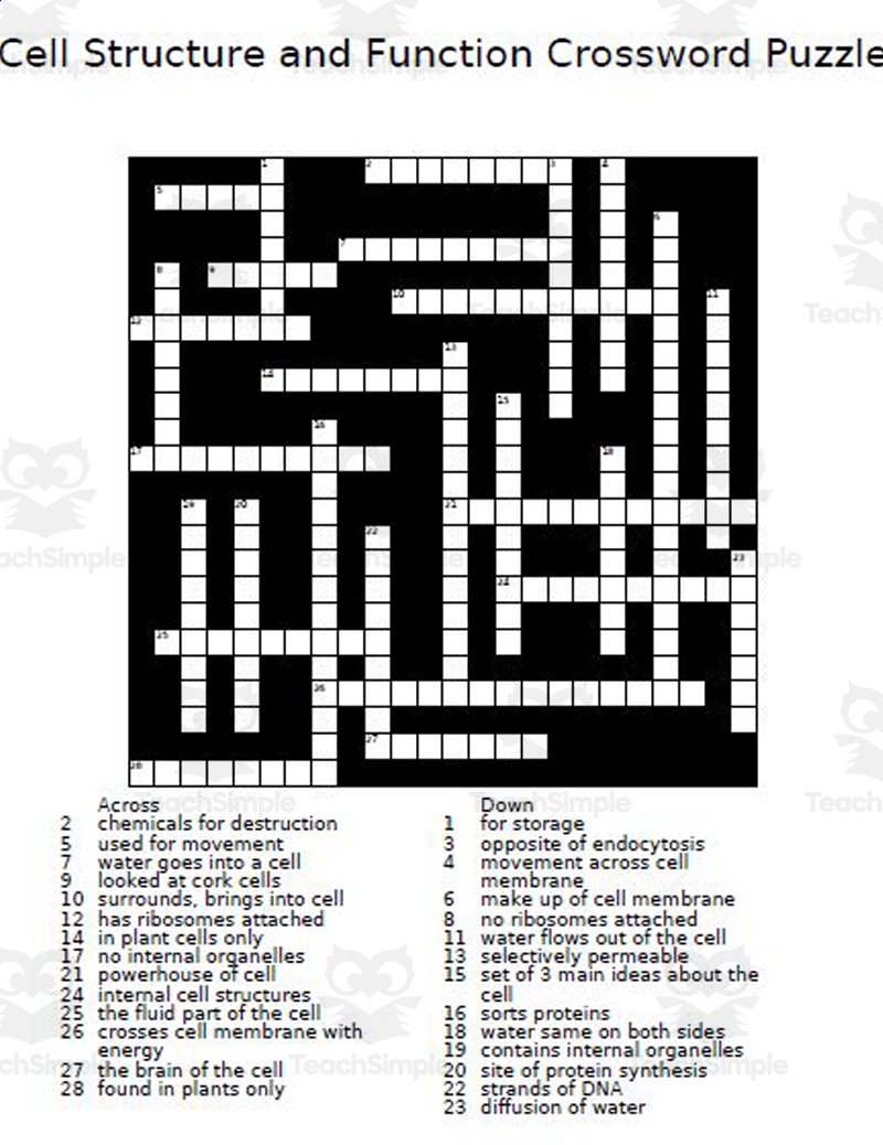 Cell Structure And Function Crossword Puzzle By Teach Simple Cell Structure And Function Crossword Puzzle By Teach Simple