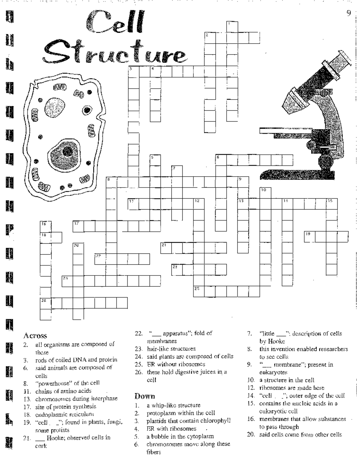 Cell Parts Crossword Printable Cell Parts Crossword Printable