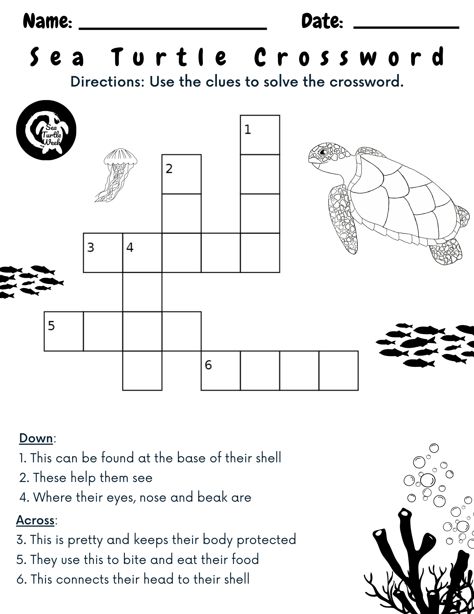Crossword Puzzle SeaTurtleWeek Crossword Puzzle SeaTurtleWeek