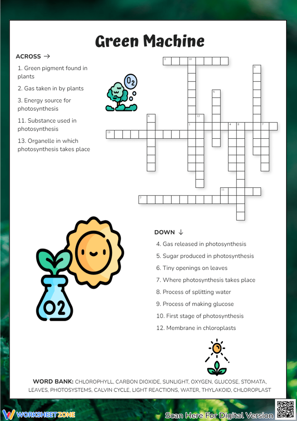 Grade 4 Chemistry Worksheets Printable Grade 4 Chemistry Worksheets Printable