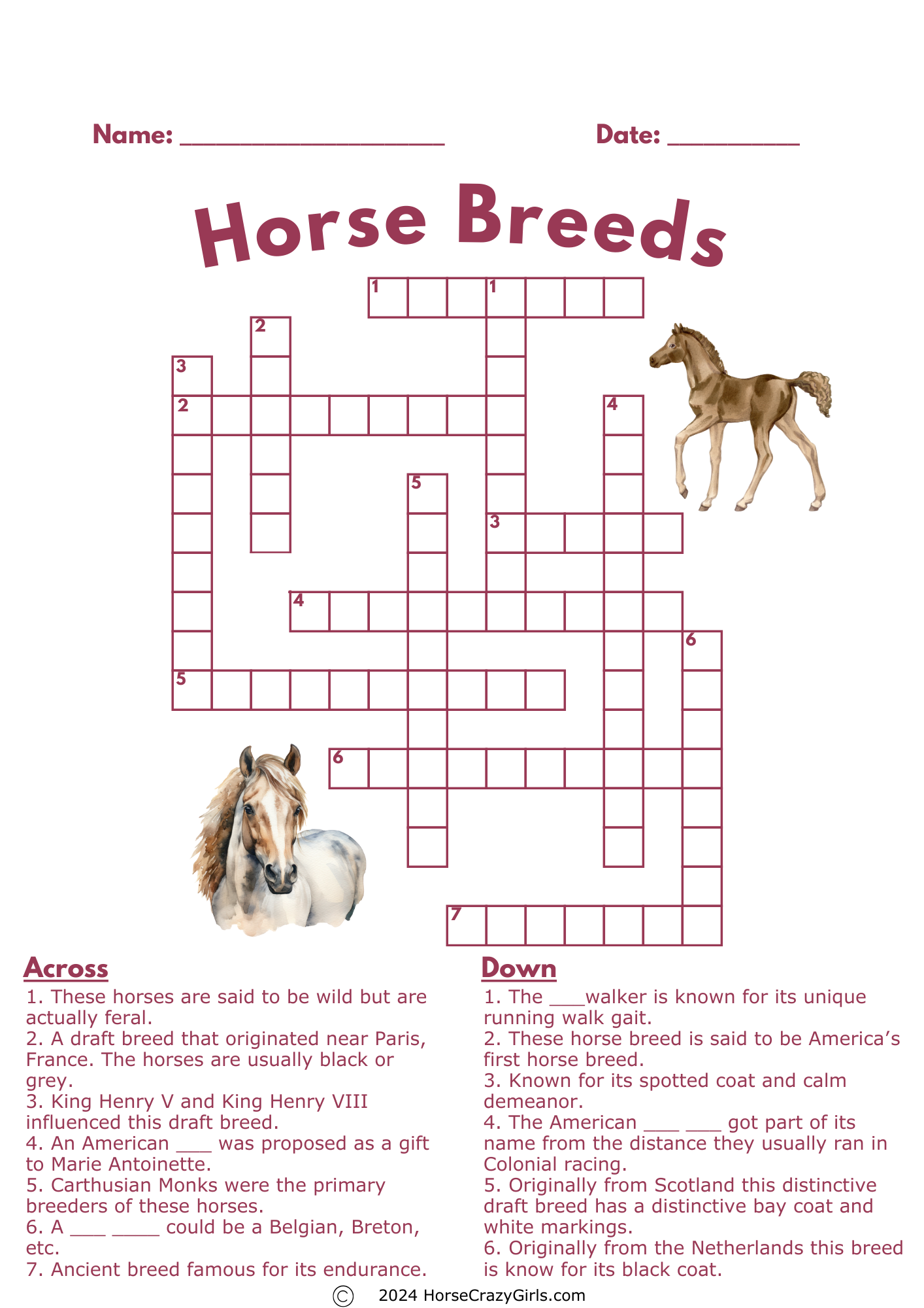 Horse Activity Books And Free Horse Activity Pages