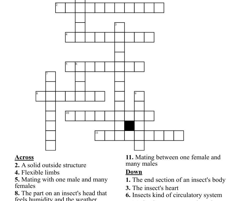 Insect Crossword Puzzle WordMint