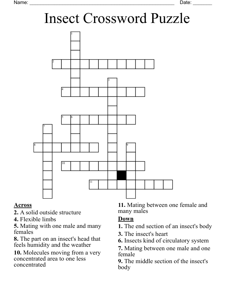Insect Crossword Puzzle WordMint Insect Crossword Puzzle WordMint