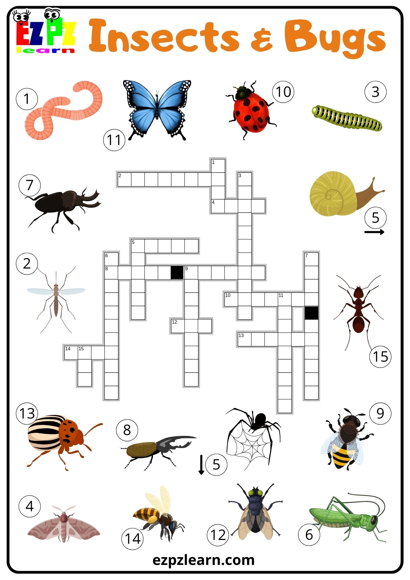 Insects And Bugs Crossword Ezpzlearn Insects And Bugs Crossword Ezpzlearn