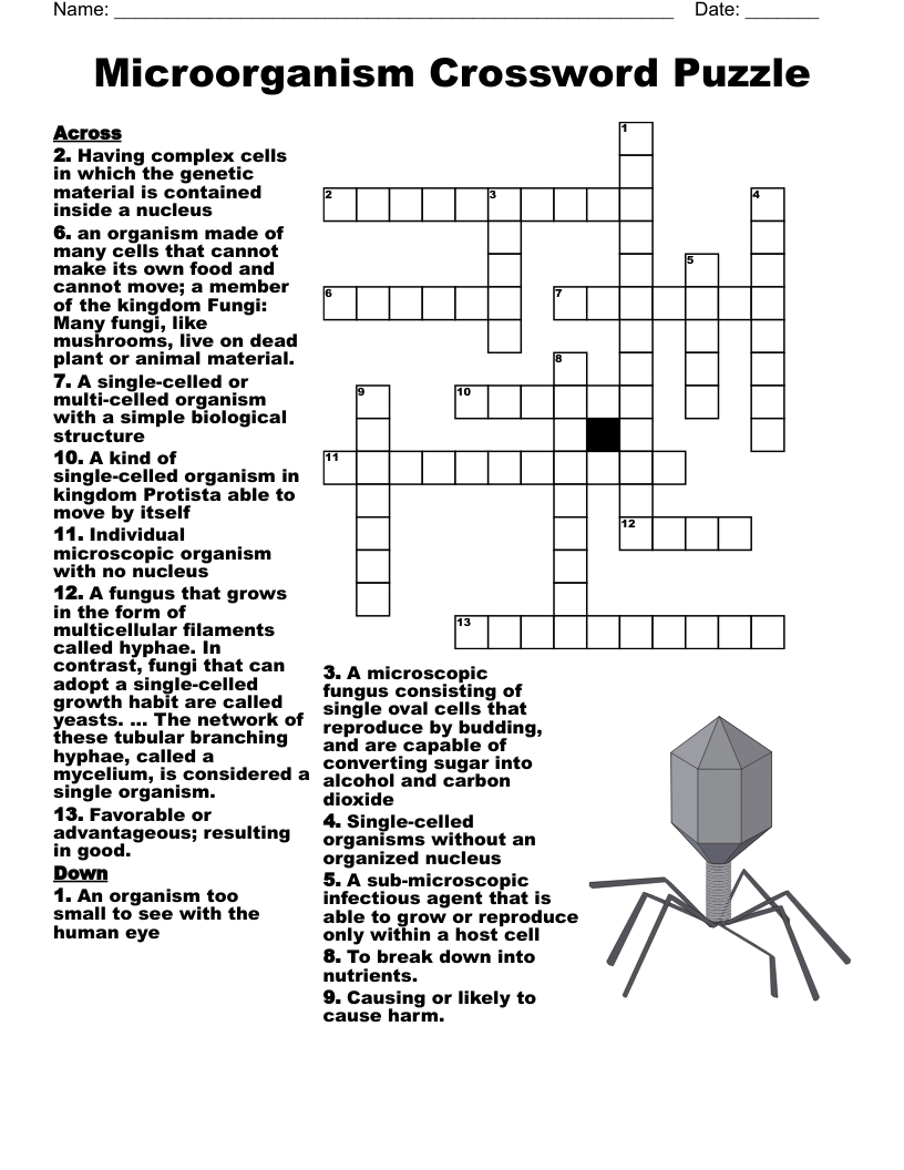 Free Printable Crossword Puzzles Germs Free Printable Crossword Puzzles Germs