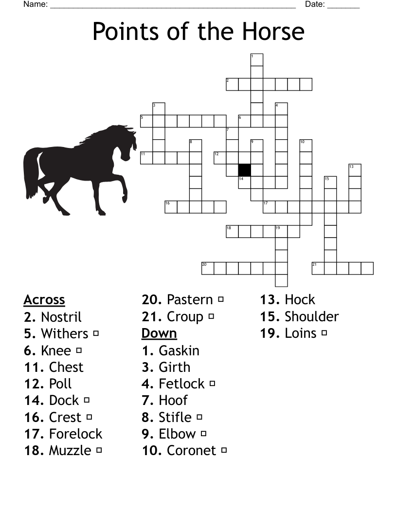 Points Of The Horse Crossword WordMint