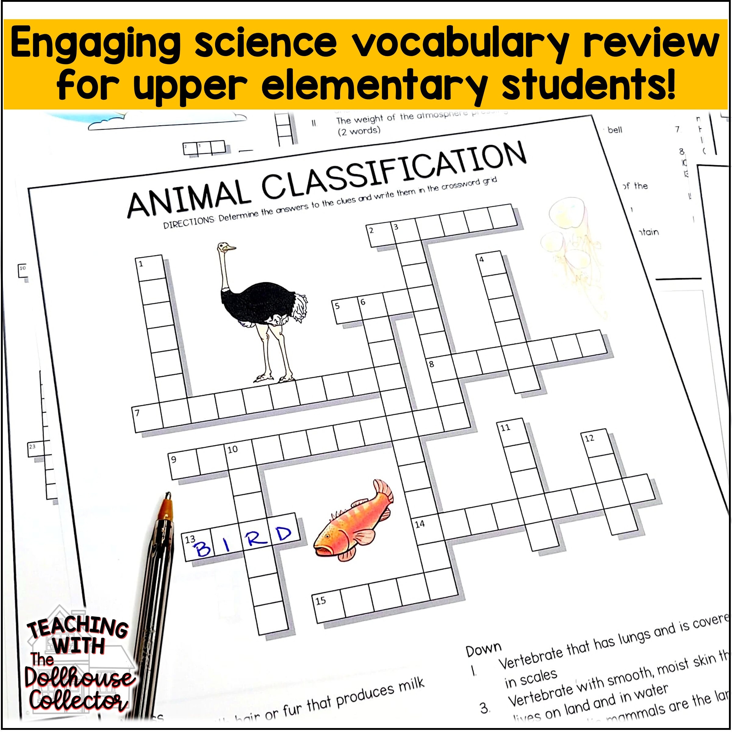 Science Crossword Puzzles 5th Grade Science Vocabulary Etsy Science Crossword Puzzles 5th Grade Science Vocabulary Etsy