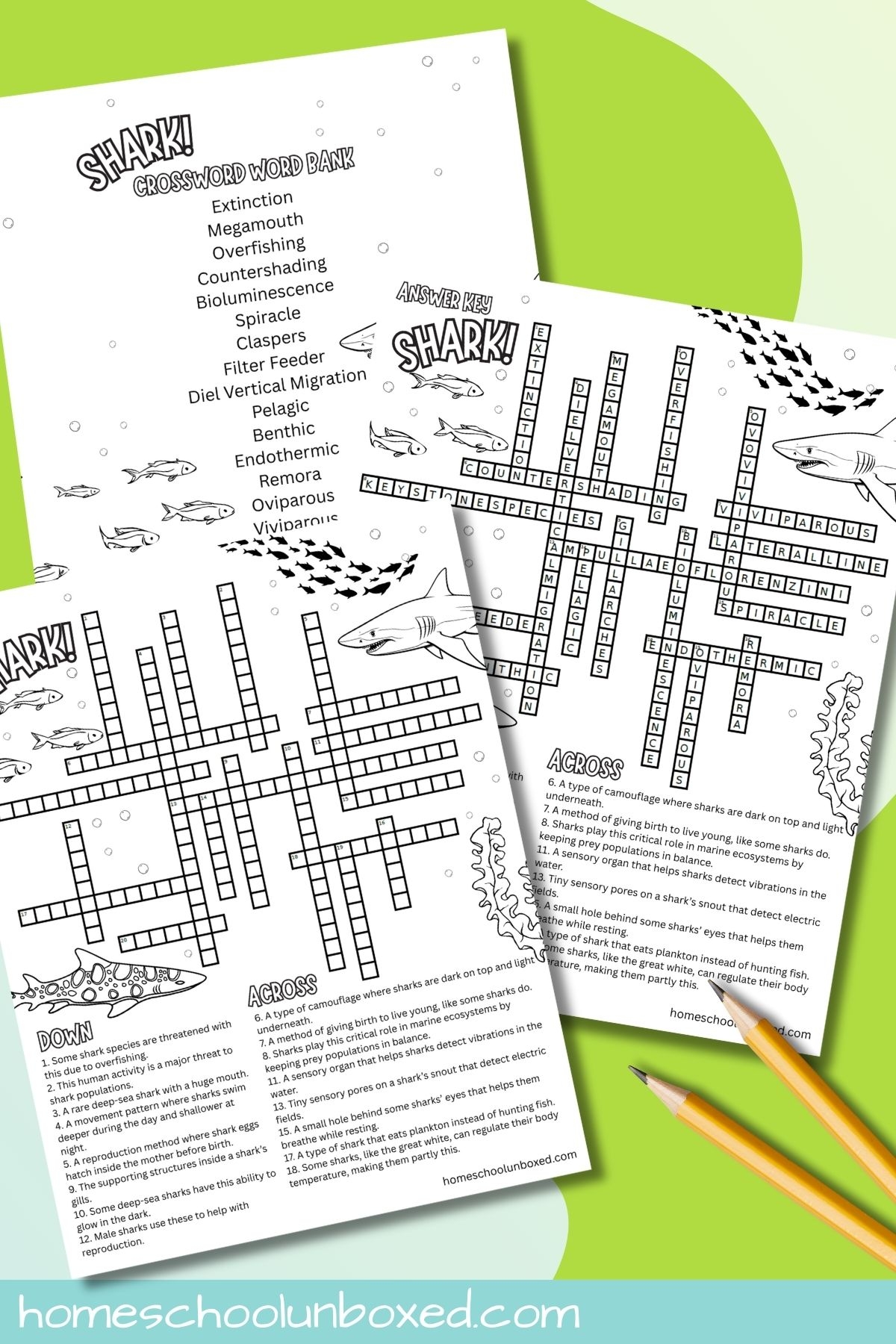 Shark Crossword Puzzles Free Printables For All Ages 