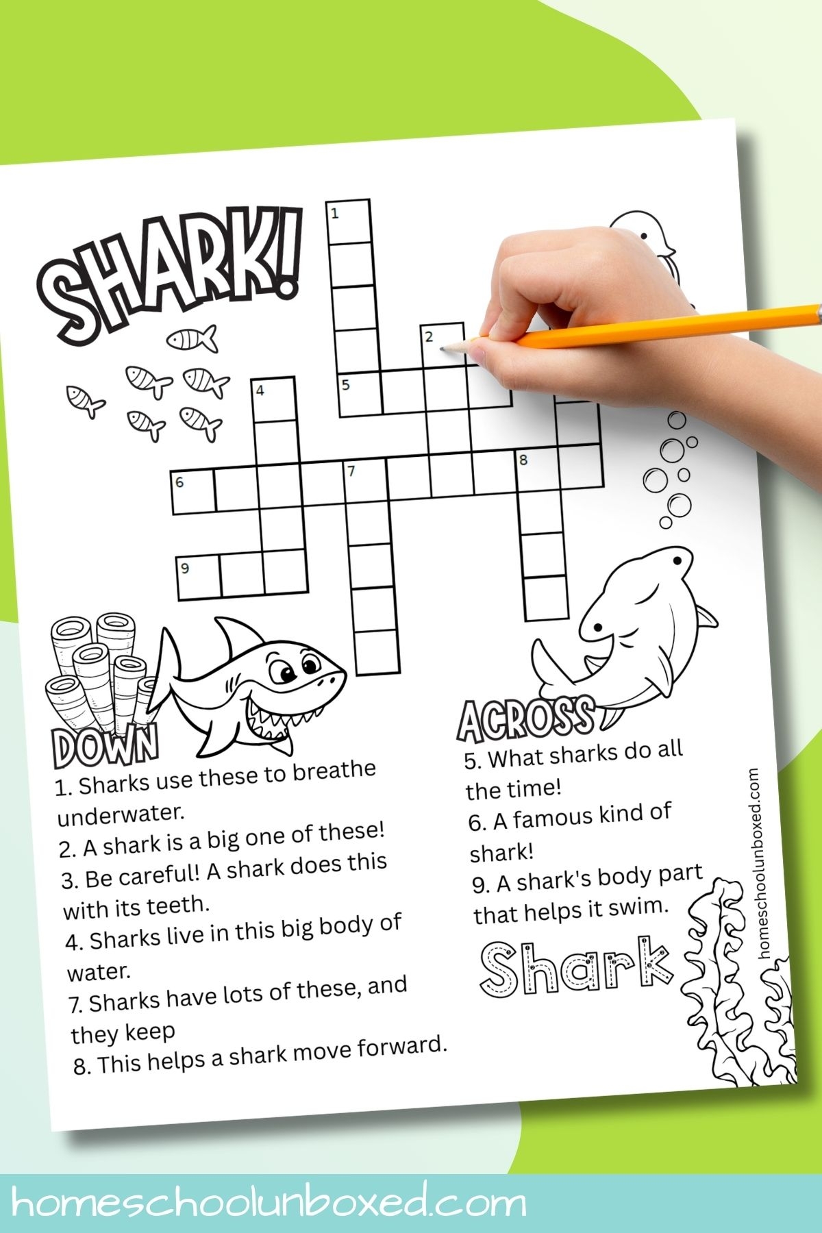 Shark Crossword Puzzles Free Printables For All Ages 
