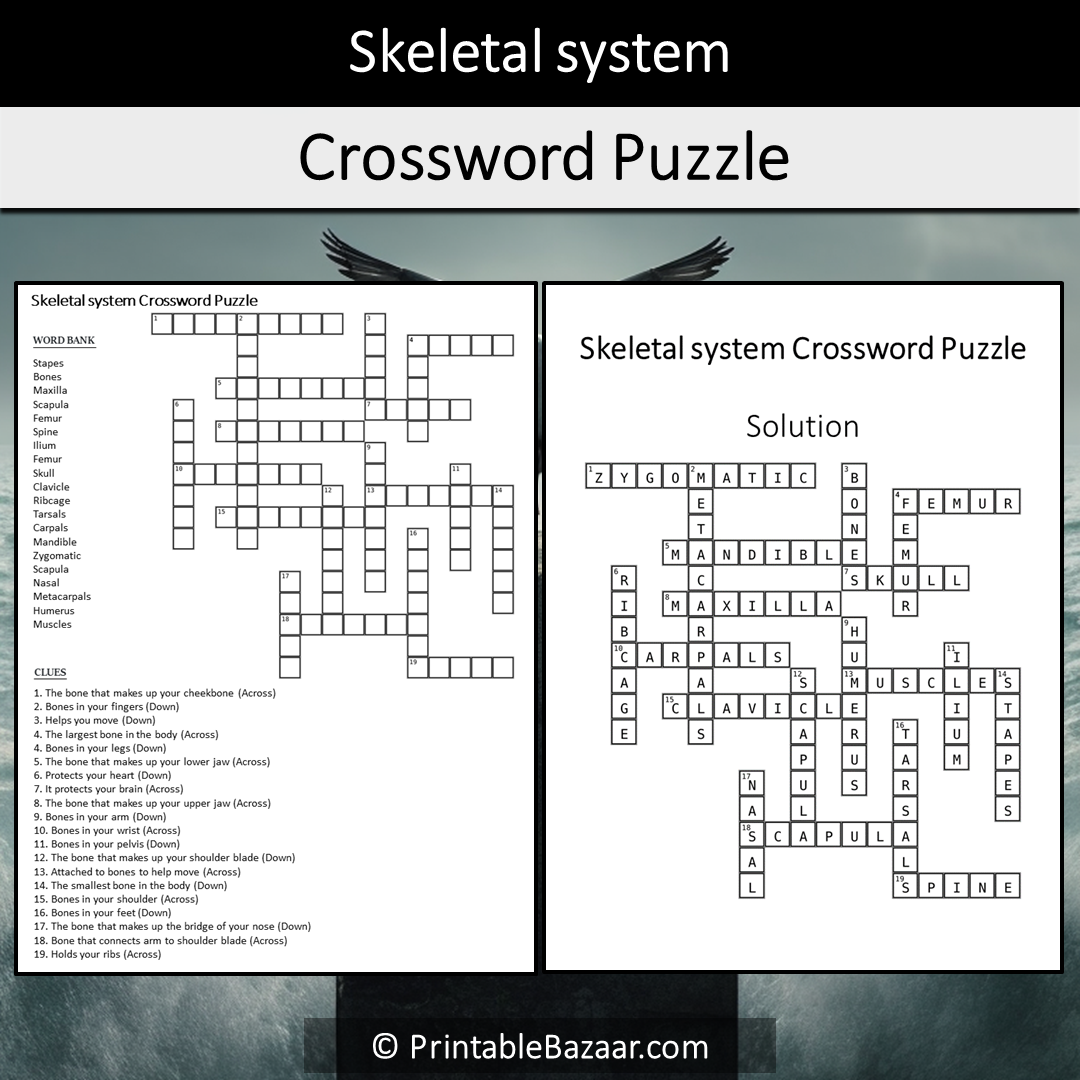 Skeletal System Crossword Puzzle Worksheet Activity Printable PDF Worksheets Library Skeletal System Crossword Puzzle Worksheet Activity Printable PDF Worksheets Library