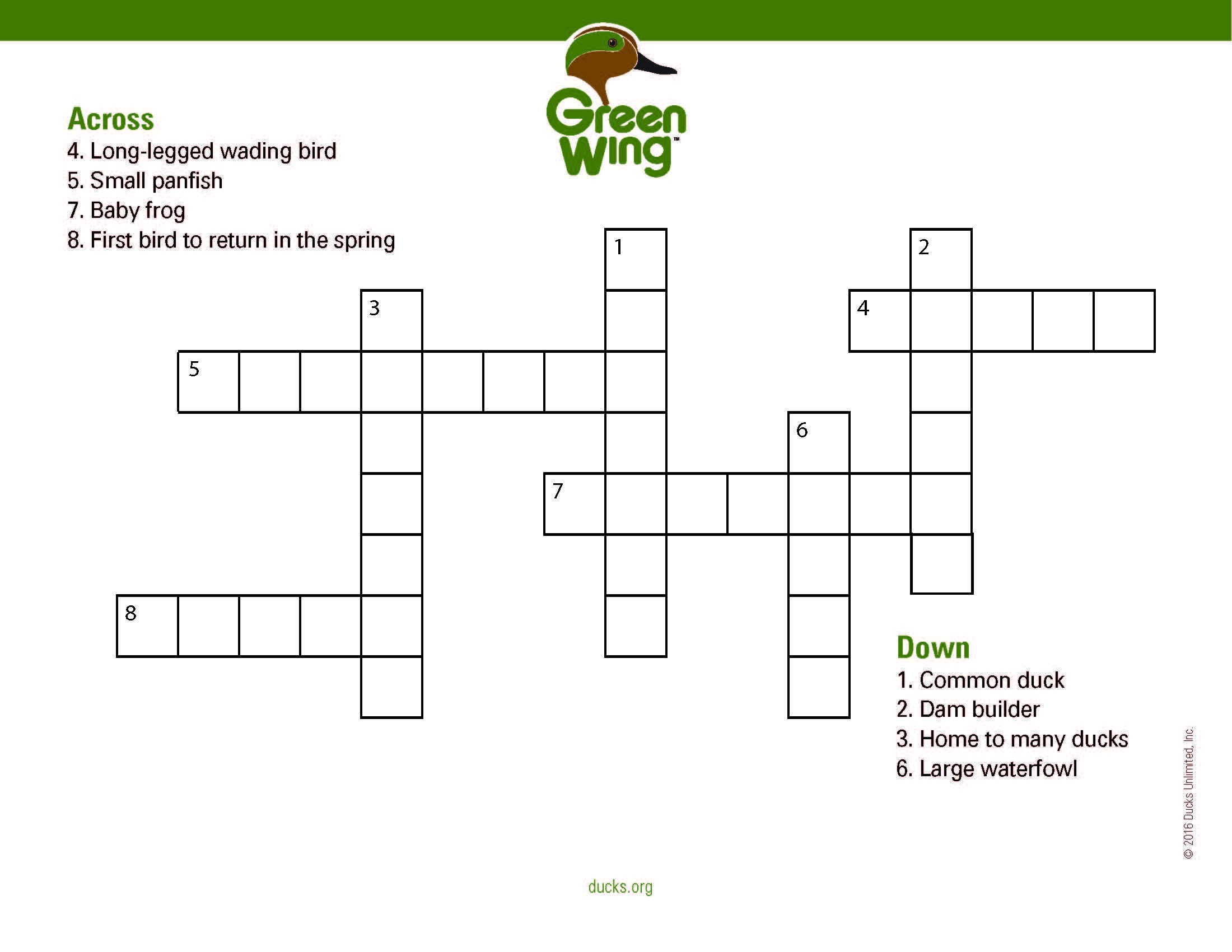 Activities Activities