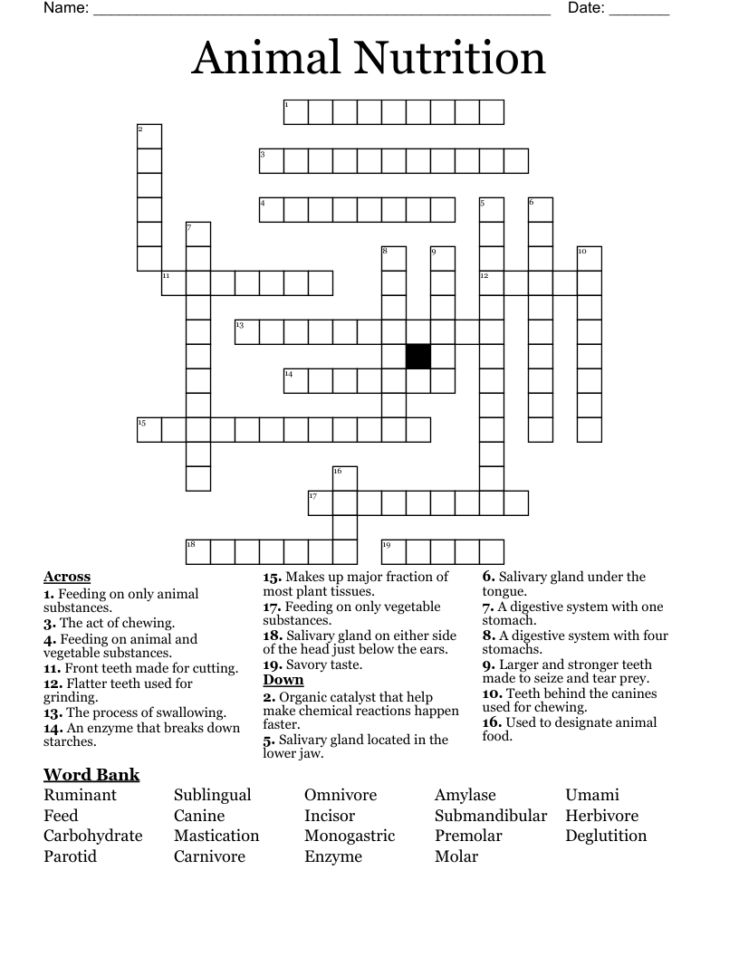 Animal Nutrition Crossword WordMint Animal Nutrition Crossword WordMint