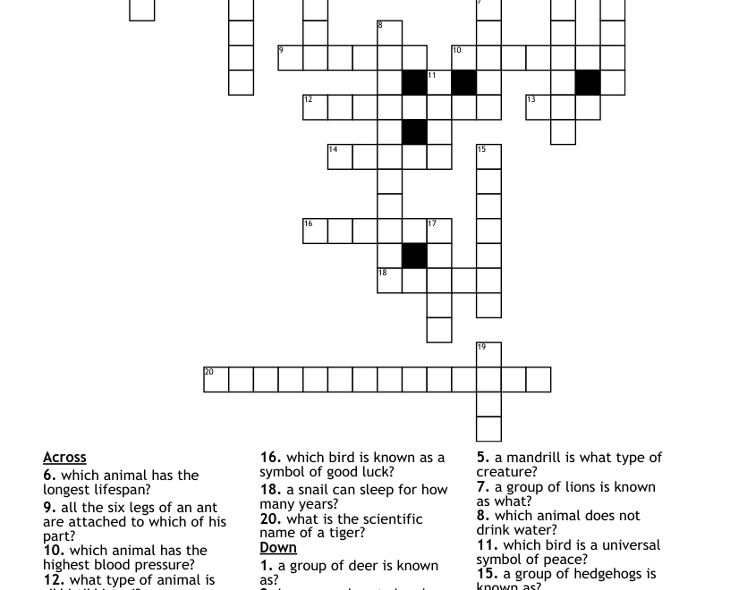 Animal Questions Crossword WordMint