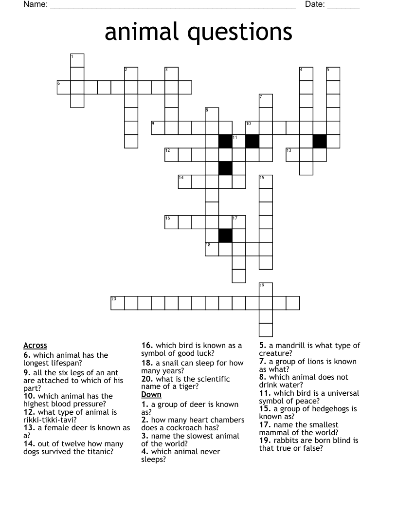 Animal Questions Crossword WordMint