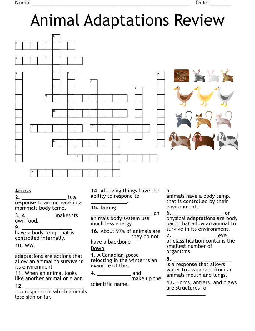 Aquarium Crossword Puzzle WordMint Aquarium Crossword Puzzle WordMint