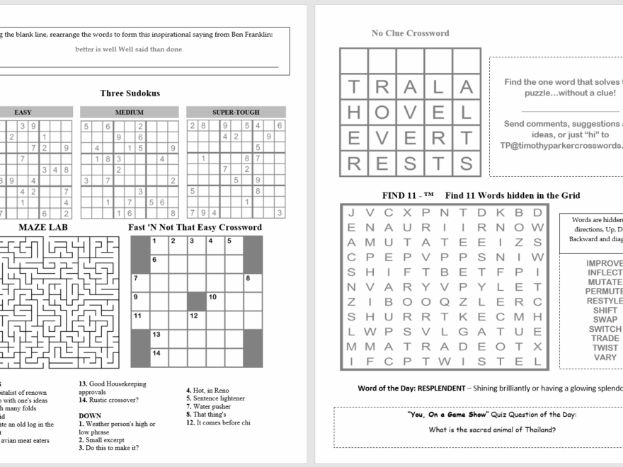 Black Puzzle Master Timothy E Parker Giving 50 000 Thinking Puzzle Packs To Needy Students