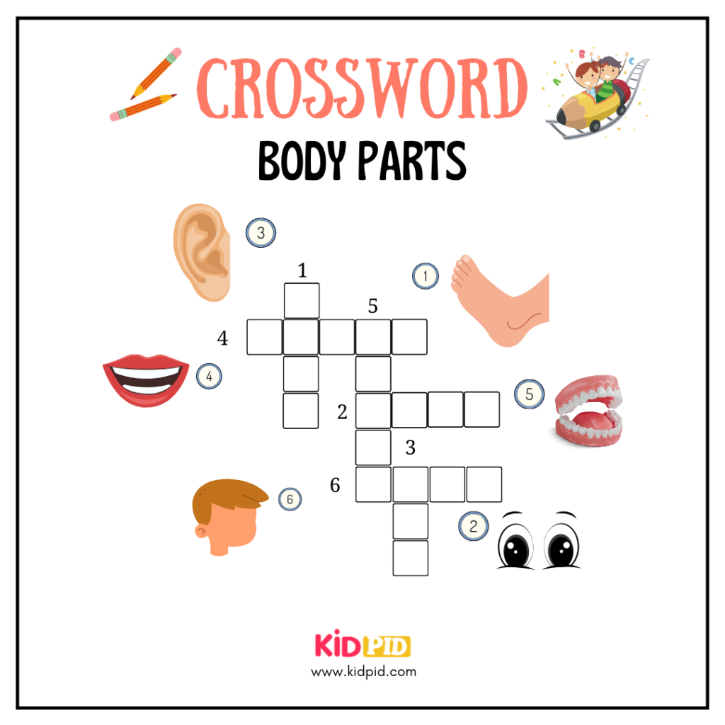 Body Parts Crosswords Worksheet For Grade 1 Kidpid Body Parts Crosswords Worksheet For Grade 1 Kidpid