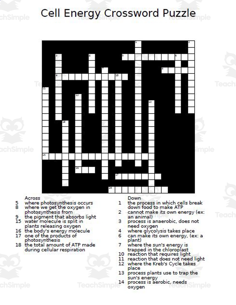 Cell Energy Crossword Puzzle By Teach Simple Cell Energy Crossword Puzzle By Teach Simple
