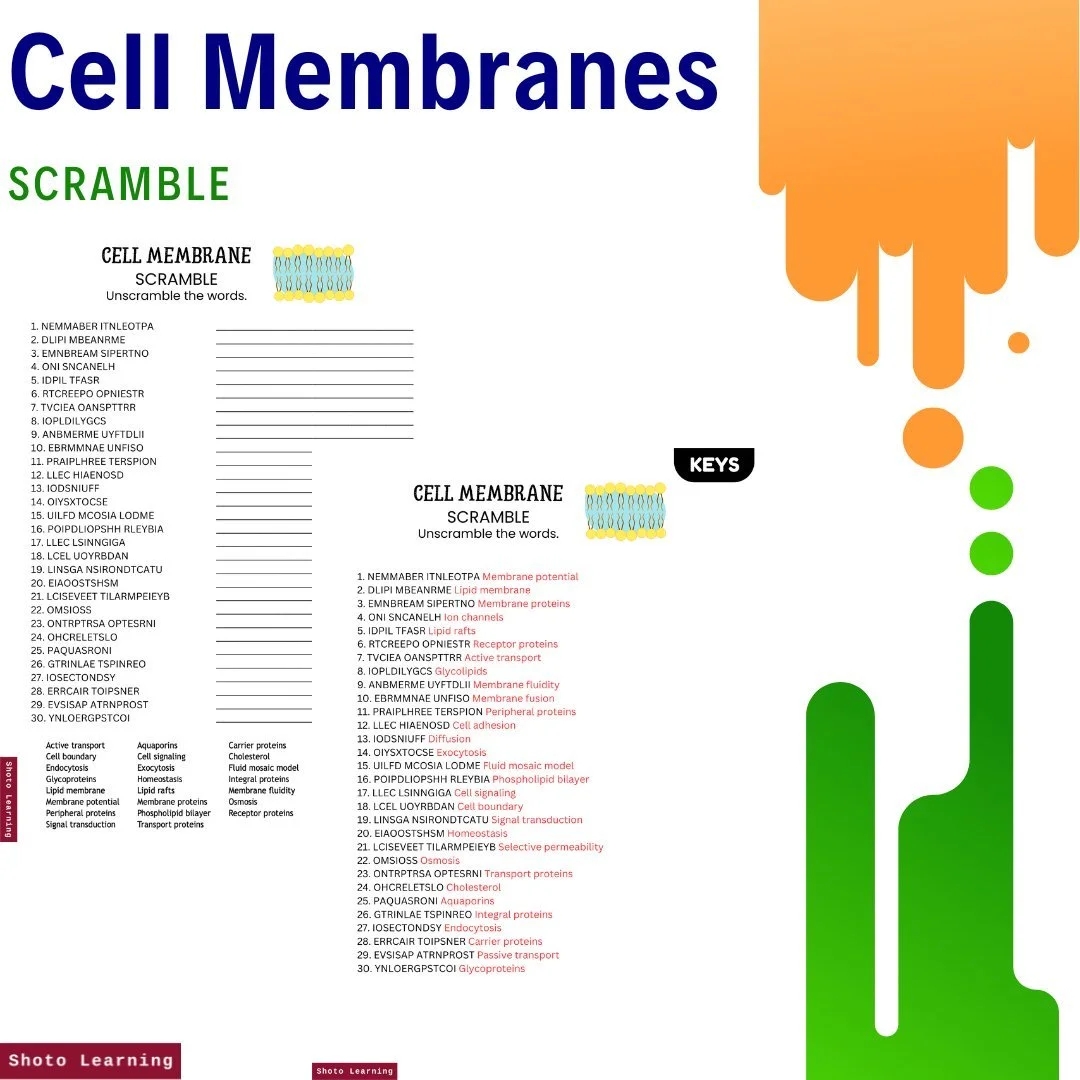 Cell Membrane Crossword Challenge Fun Biology Worksheet Cell Membrane Crossword Challenge Fun Biology Worksheet
