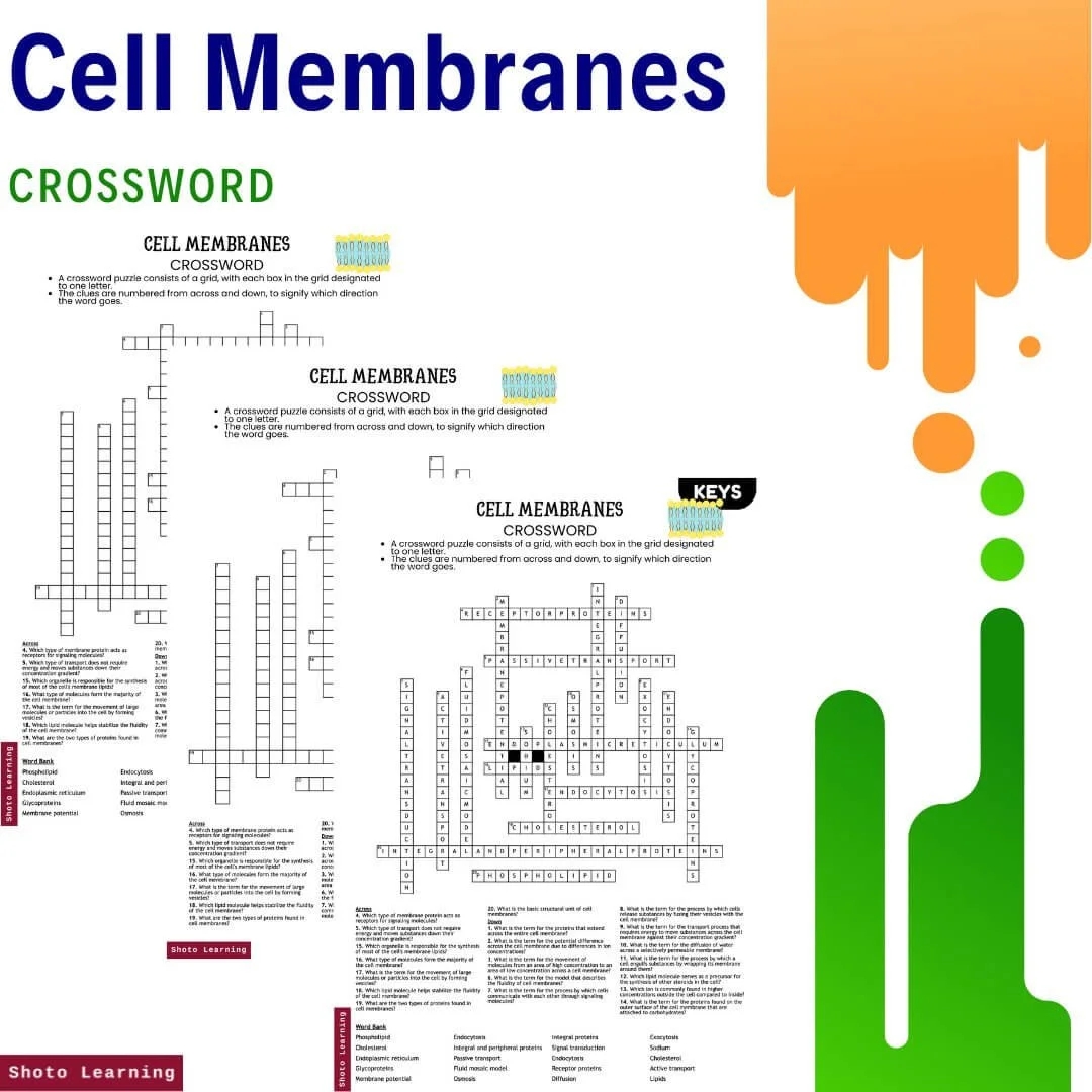 Membrane And Transport Crossword Puzzle Printable Membrane And Transport Crossword Puzzle Printable