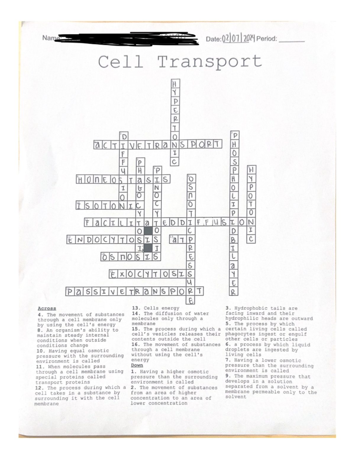 Cell Transport Crossword Puzzle Key Concepts Definitions Studocu Cell Transport Crossword Puzzle Key Concepts Definitions Studocu