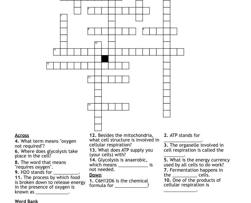 Cellular Respiration Crossword WordMint
