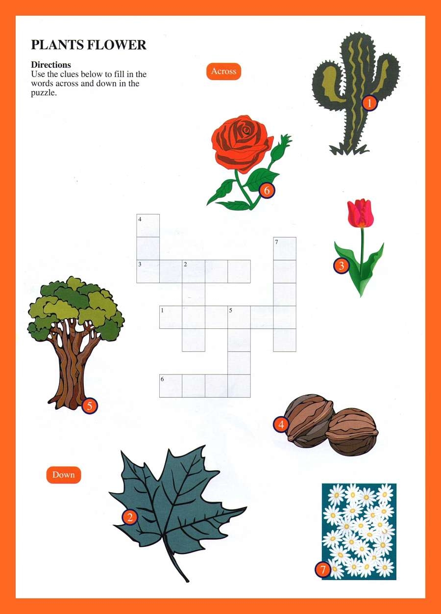 Crossword And WordSerch For Kids ESL Crossword And WordSerch For Kids ESL