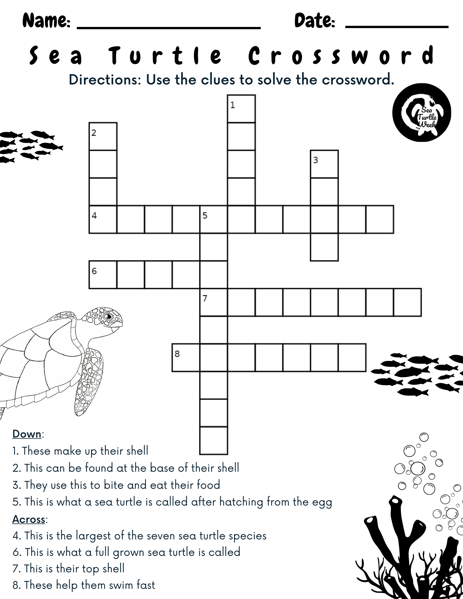 Crossword Puzzle SeaTurtleWeek Crossword Puzzle SeaTurtleWeek