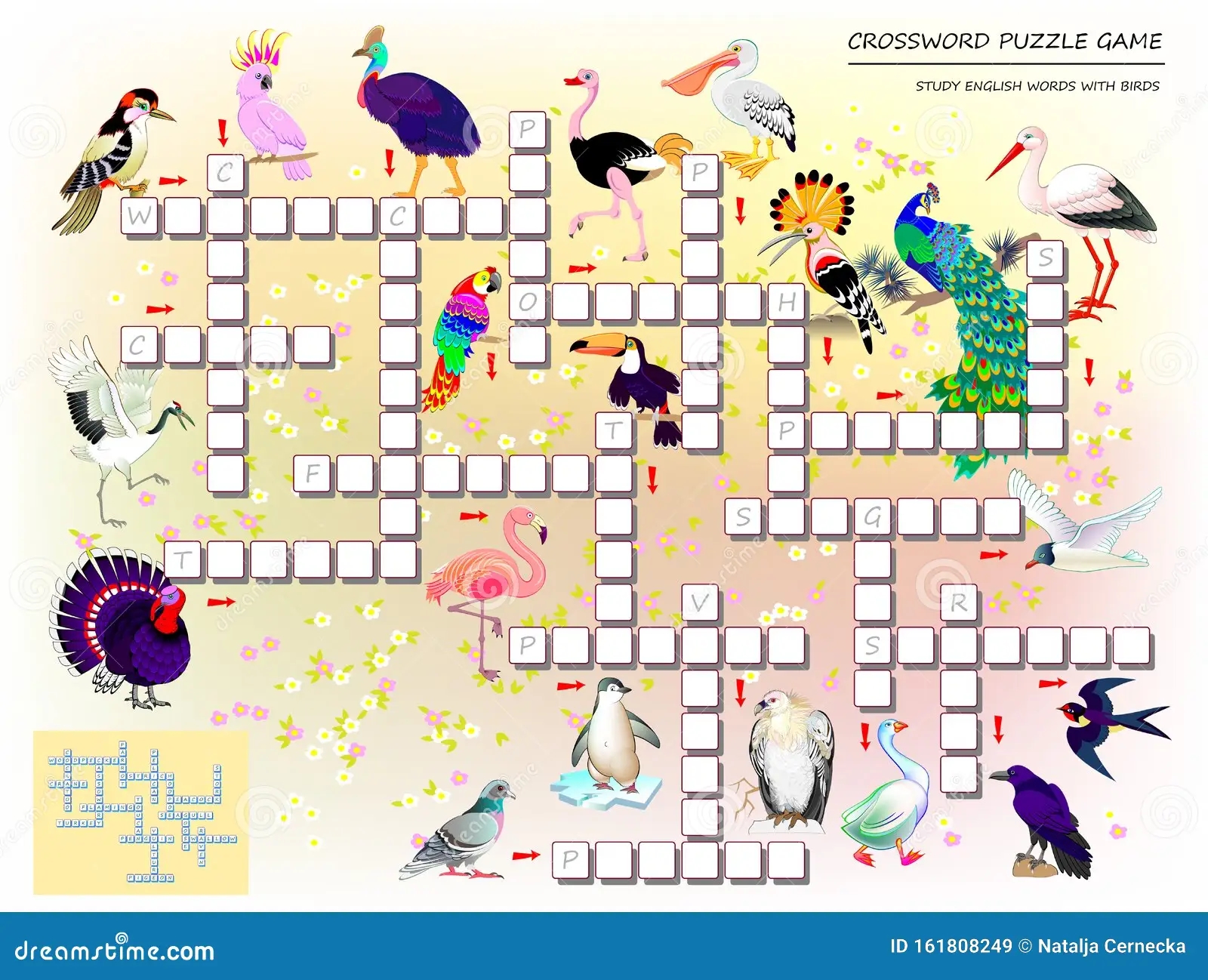 English Crossword Puzzle Stock Illustrations 3 600 English Crossword Puzzle Stock Illustrations Vectors Clipart Dreamstime English Crossword Puzzle Stock Illustrations 3 600 English Crossword Puzzle Stock Illustrations Vectors Clipart Dreamstime