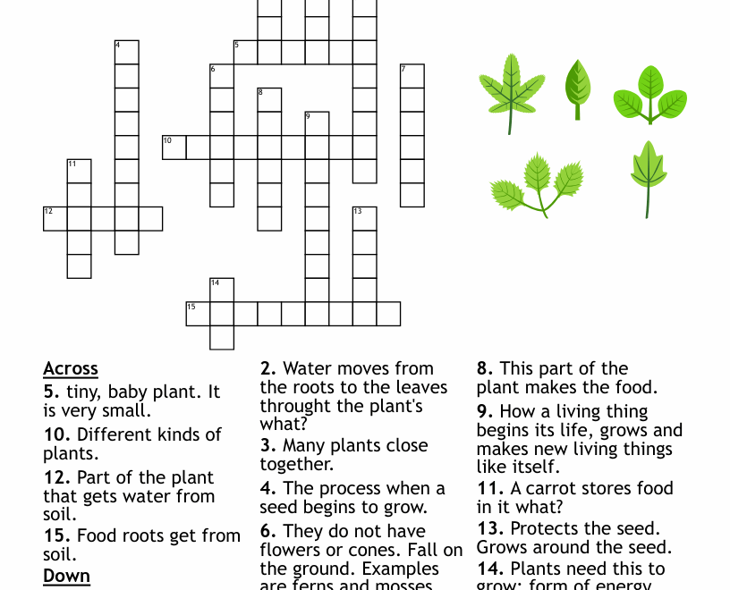 Gardening Landscaping Crosswords Word Searches Bingo Cards WordMint