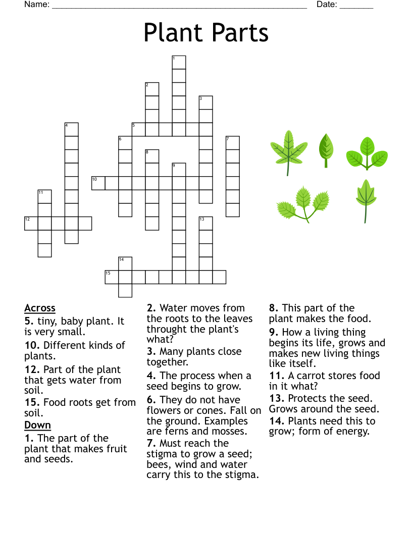 Gardening Landscaping Crosswords Word Searches Bingo Cards WordMint Gardening Landscaping Crosswords Word Searches Bingo Cards WordMint