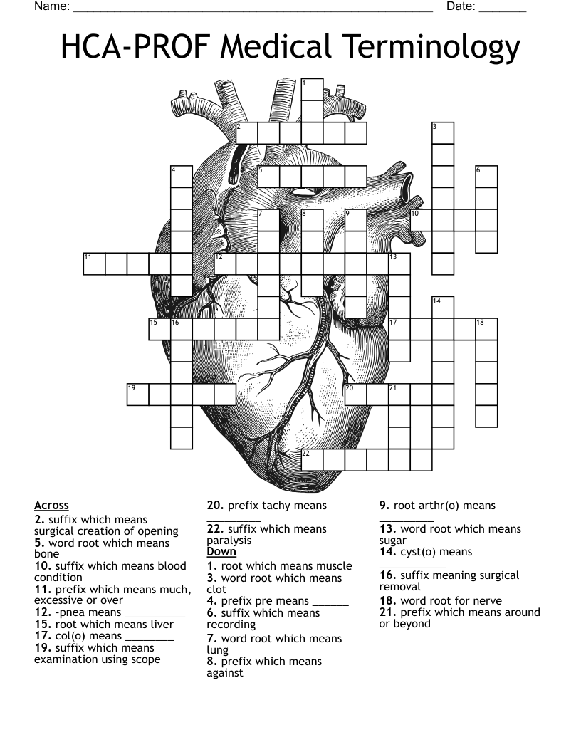 HCA PROF Medical Terminology Crossword WordMint HCA PROF Medical Terminology Crossword WordMint
