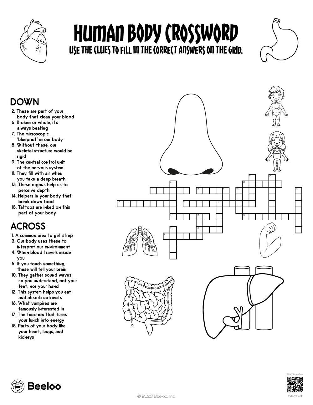 Human Body Crossword Beeloo Printable Crafts And Activities For Kids Human Body Crossword Beeloo Printable Crafts And Activities For Kids