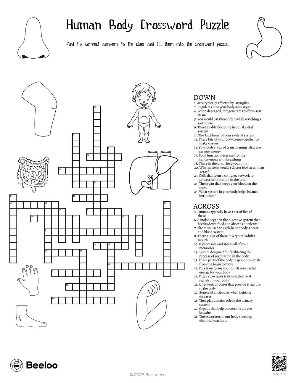 Human Body Crossword Puzzle Beeloo Printable Crafts And Activities For Kids Human Body Crossword Puzzle Beeloo Printable Crafts And Activities For Kids