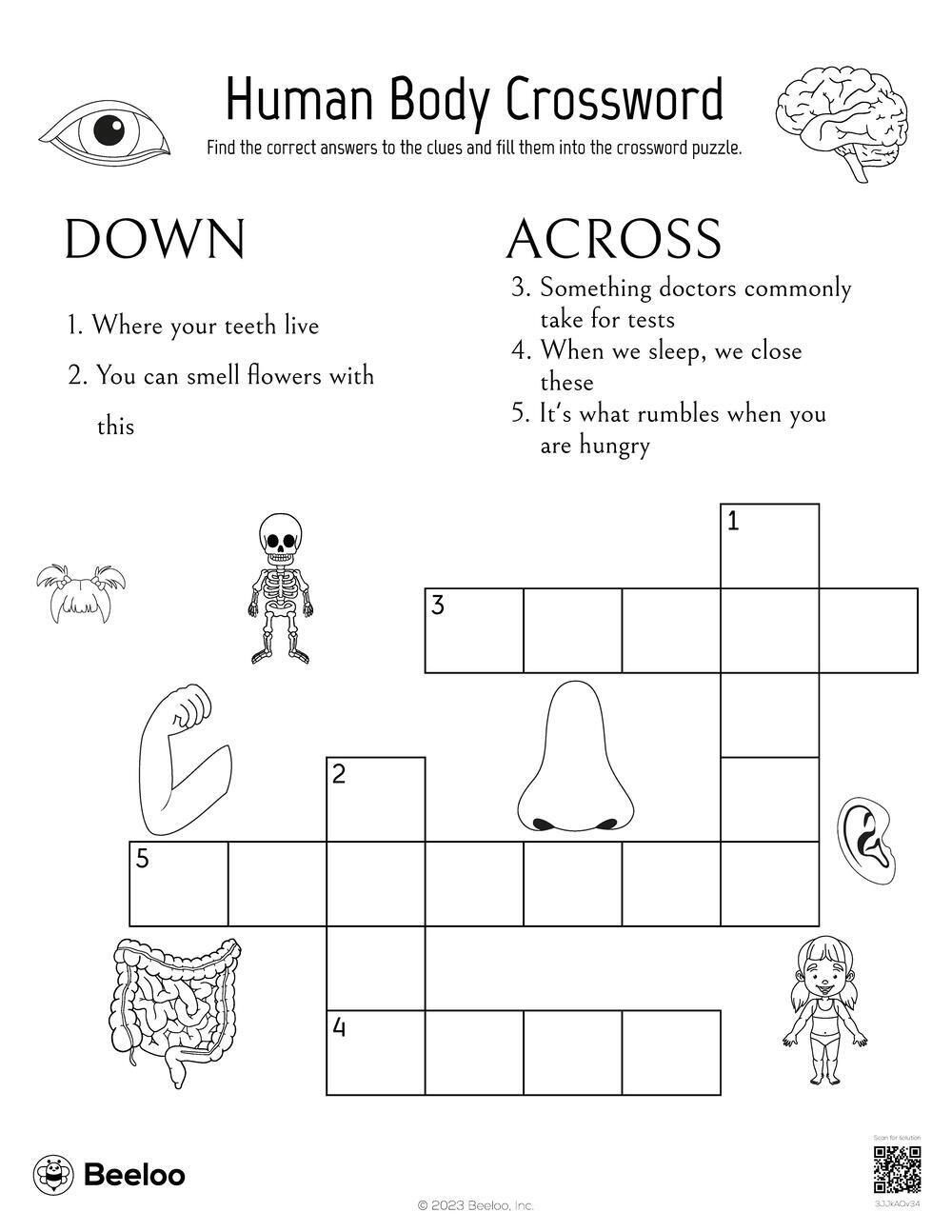 Human Body themed Crossword Puzzles Beeloo Printable Crafts And Activities For Kids Human Body themed Crossword Puzzles Beeloo Printable Crafts And Activities For Kids