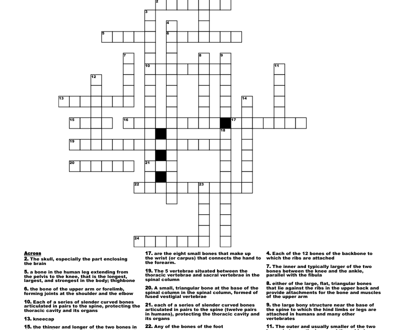 Human Skeleton Crossword WordMint
