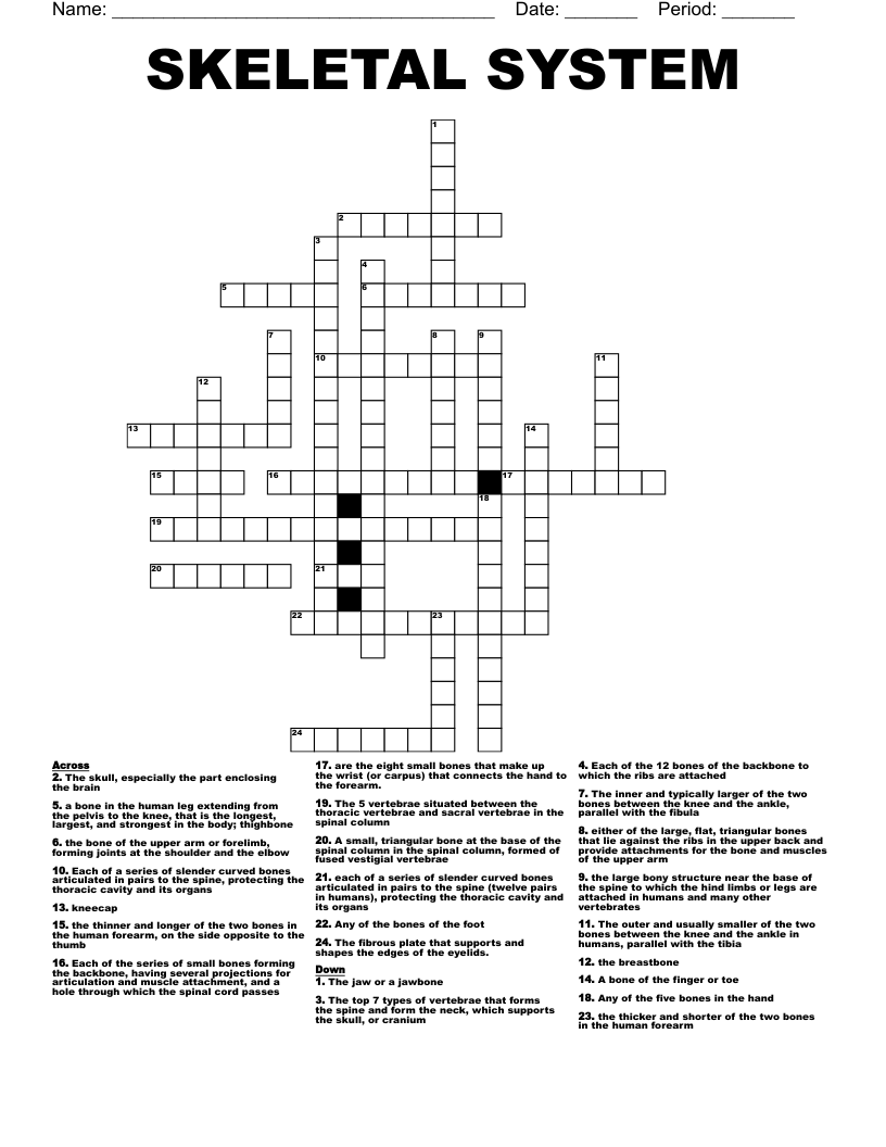 Human Skeleton Crossword WordMint